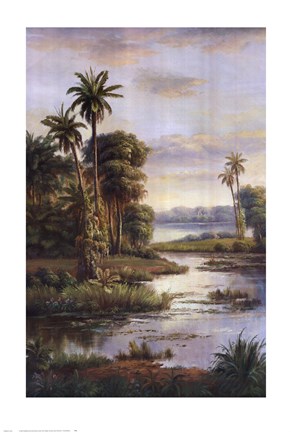 Framed Island Serenity I Print