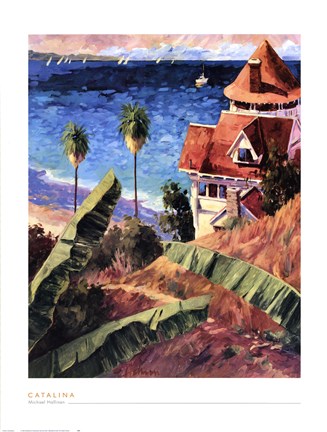 Framed Catalina Print