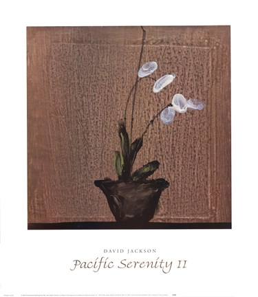 Framed Pacific Serenity II Print