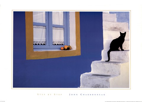 Framed Step by Step Print