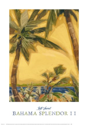Framed Bahama Splendor II Print