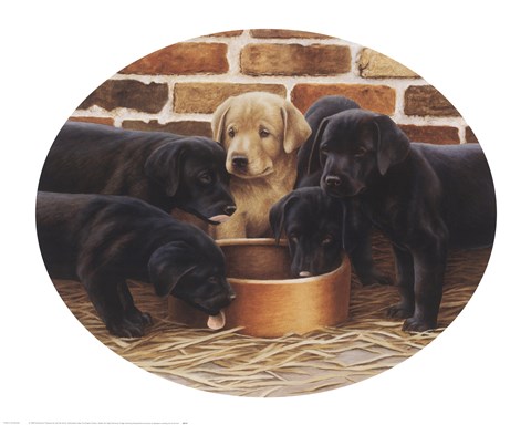 Framed Golden Girl Print