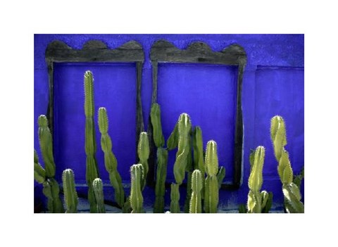 Framed Cacti in Cancun Mexico Print