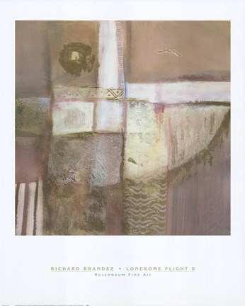 Framed Lonesome Flight II Print