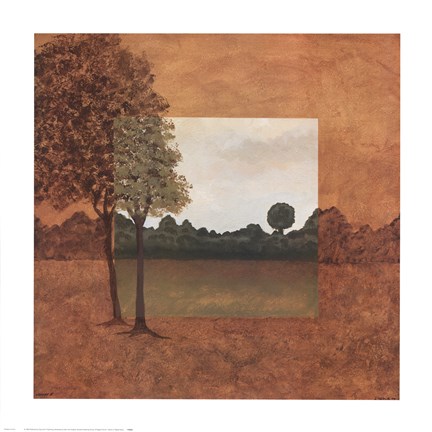 Framed Visions II Print