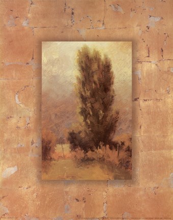 Framed Soft Morning Light Print