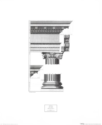 Framed Ionic Order Print