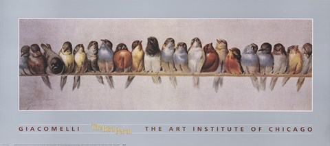 Framed Bird Perch Print