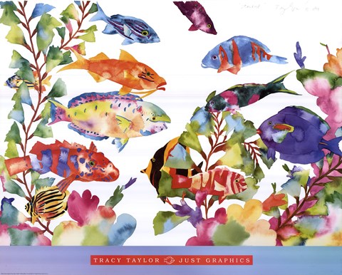 Framed Starkist Print