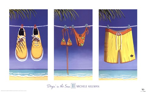 Framed Dryin in the Sun II Print