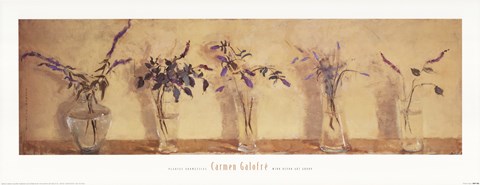 Framed Plantas Aromticas Print