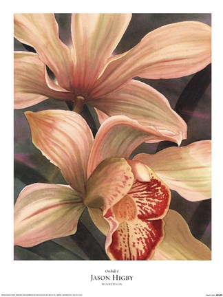 Framed Orchids I Print