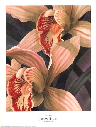 Framed Orchids II Print