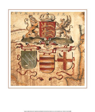 Framed Terra Nova IV Print