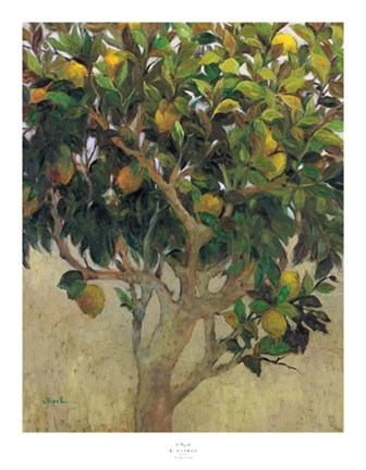 Framed Limonero Print