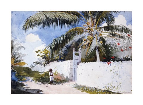 Framed Garden In Nassau Print
