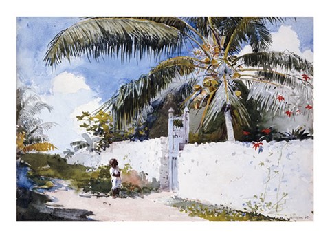 Framed Garden In Nassau Print