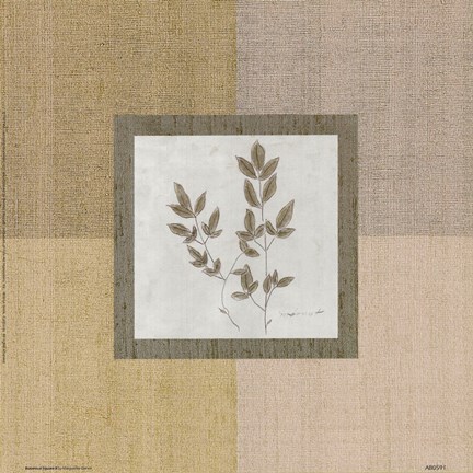 Framed Botanical Square ll Print