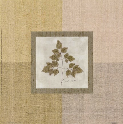Framed Leaf Element l Print