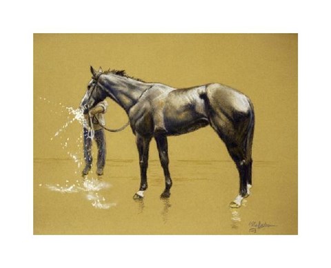 Framed Bathing Race Horse II Print