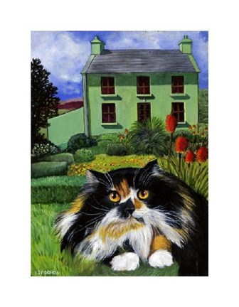 Framed Persian Cat in Ireland Print
