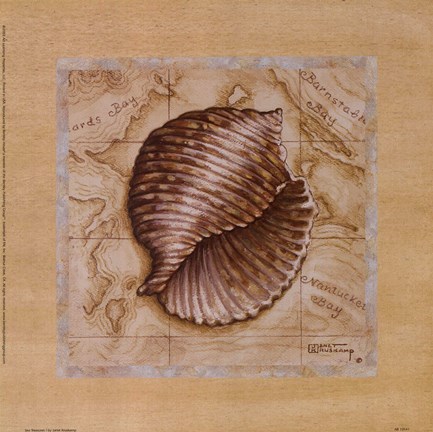 Framed Sea Treasures I Print