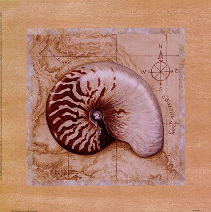 Framed Sea Treasures II Print