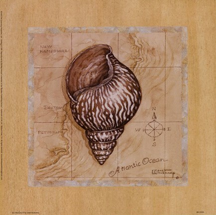 Framed Sea Treasures IV Print