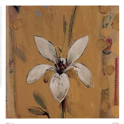 Framed Camillo Print