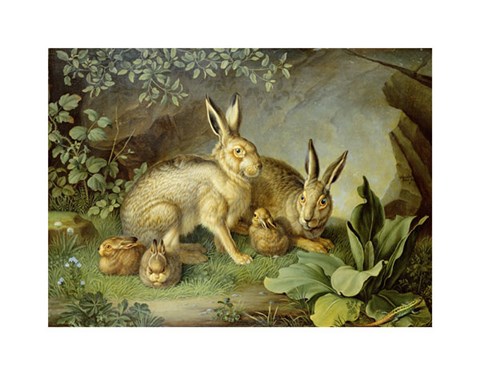 Framed Hares and Leverets In a Rocky Lair Print