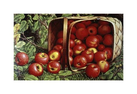Framed Basket of Apples Print
