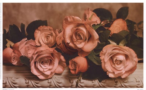 Framed Dusty Rose Print
