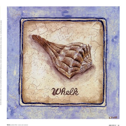 Framed Whelk Print