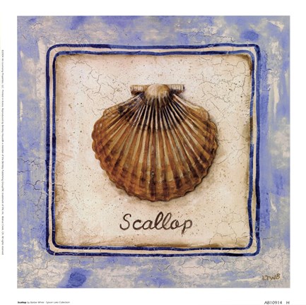 Framed Scallop Print