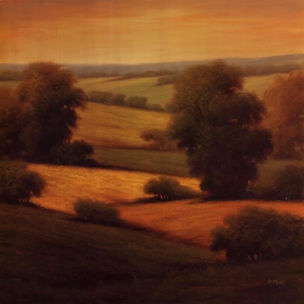 Framed Amber Outlook II Print