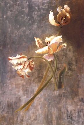 Framed Tulip Rhythms Print