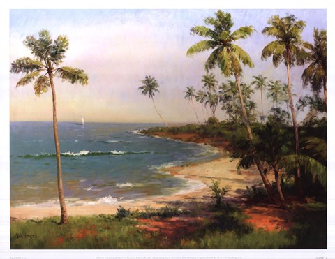 Framed Tropical Coastline Print