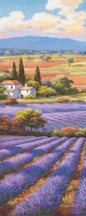 Framed Fields Of Lavender II Print