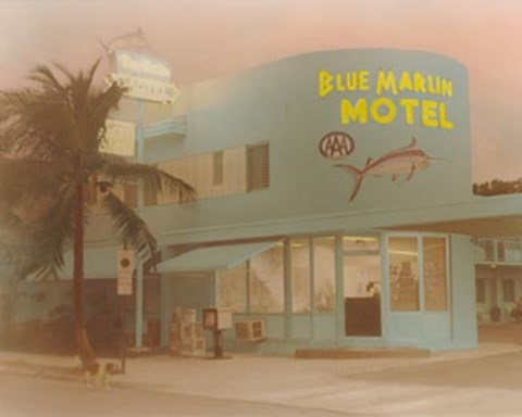 Framed Blue Marlin Hotel Print