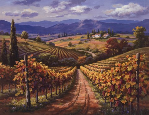 Framed Vineyard Hill II Print