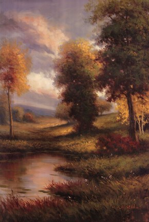 Framed Resplendent II Print