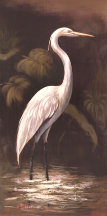 Framed Brown Egret Print