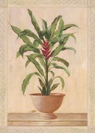 Framed Potted Palm II Print