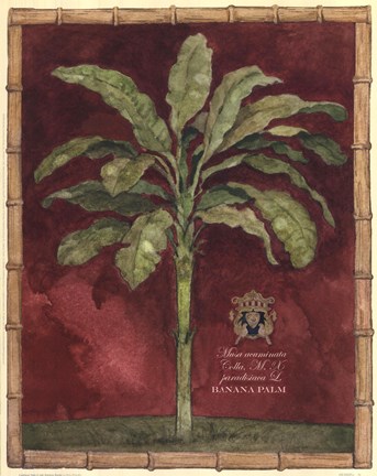 Framed Caribbean Palm II With Bamboo Border Print
