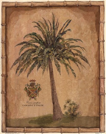 Framed Caribbean Palm III With Bamboo Border Print