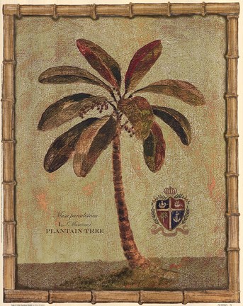 Framed Caribbean Palm IV With Bamboo Border Print