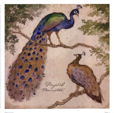 Framed Peafowls Print