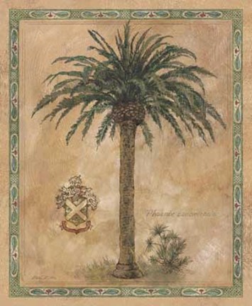 Framed Phoenix Canariensis Print