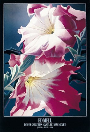 Framed Two Petunias Print