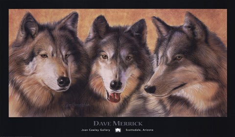 Framed Tres Lobos Print